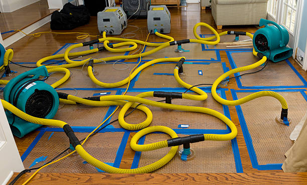 Professional Crawl Space Water Removal technician working in Murrieta, CA